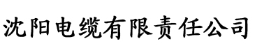 iso质量检测电缆厂logo